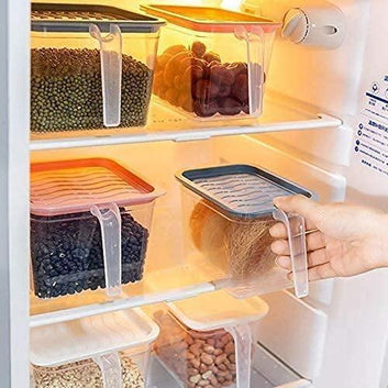 Fridge storage containers